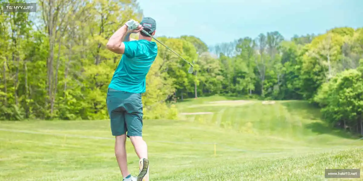 金年会官网——用汗水雕刻身材，让运动定义自己！🏋️‍♀️